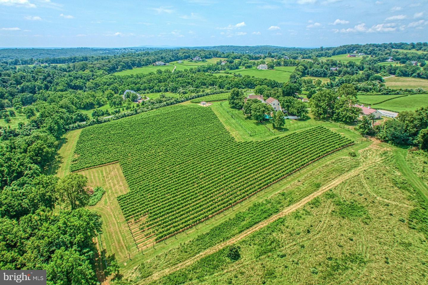 40954 CANTER LN, PAEONIAN SPRINGS, Virginia 20129, 4 Bedrooms Bedrooms, ,6 BathroomsBathrooms,Residential,For sale,40954 CANTER LN,VALO2105746 MLS # VALO2105746