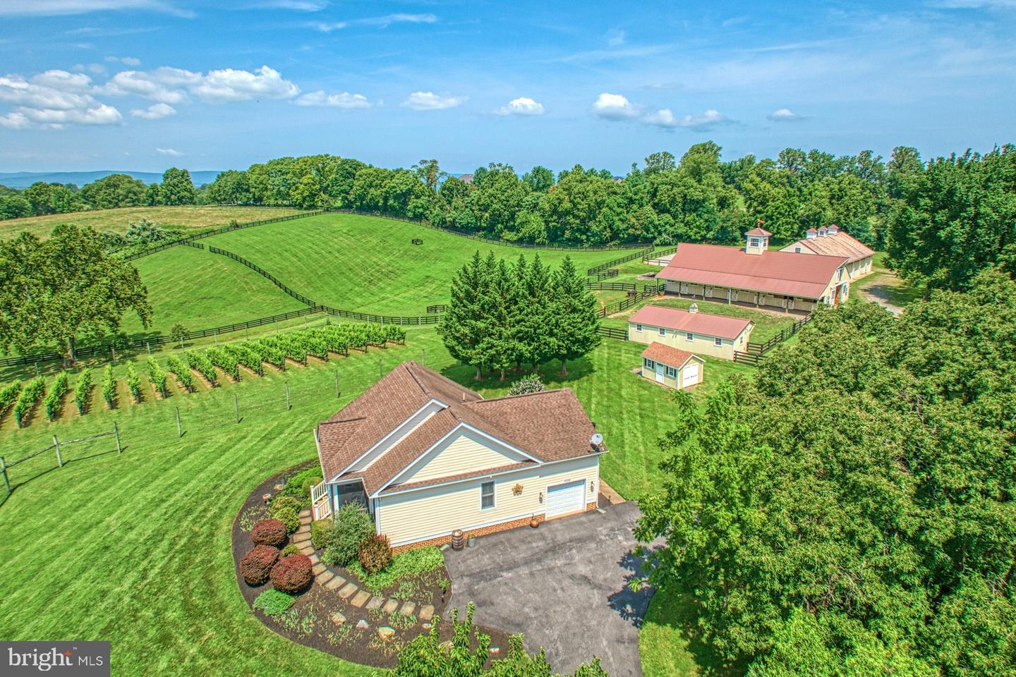 40954 CANTER LN, PAEONIAN SPRINGS, Virginia 20129, 4 Bedrooms Bedrooms, ,6 BathroomsBathrooms,Residential,For sale,40954 CANTER LN,VALO2105746 MLS # VALO2105746