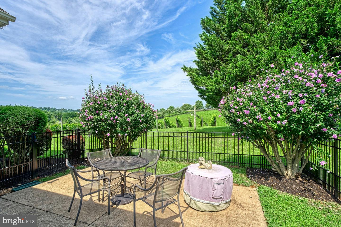 40954 CANTER LN, PAEONIAN SPRINGS, Virginia 20129, 4 Bedrooms Bedrooms, ,6 BathroomsBathrooms,Residential,For sale,40954 CANTER LN,VALO2105746 MLS # VALO2105746