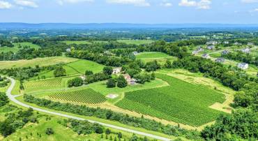 40954 CANTER LN, PAEONIAN SPRINGS, Virginia 20129, 4 Bedrooms Bedrooms, ,6 BathroomsBathrooms,Residential,For sale,40954 CANTER LN,VALO2105746 MLS # VALO2105746