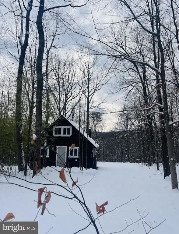 415 PINE HILL DR, STANARDSVILLE, Virginia 22973, 2 Bedrooms Bedrooms, ,1 BathroomBathrooms,Residential,415 PINE HILL DR,VAGR2000762 MLS # VAGR2000762