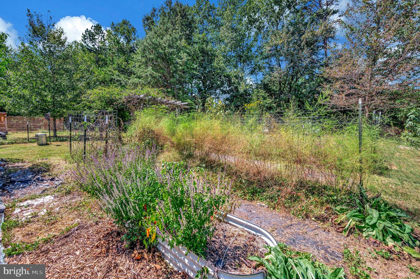 19280 LAHORE RD, ORANGE, Virginia 22960, 3 Bedrooms Bedrooms, ,1 BathroomBathrooms,Residential,For sale,19280 LAHORE RD,VAOR2010654 MLS # VAOR2010654