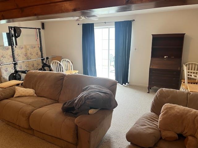 102 BRIDGEPORT DR, BRIDGEWATER, Virginia 22812, 4 Bedrooms Bedrooms, ,3 BathroomsBathrooms,Residential,102 BRIDGEPORT DR,668706 MLS # 668706