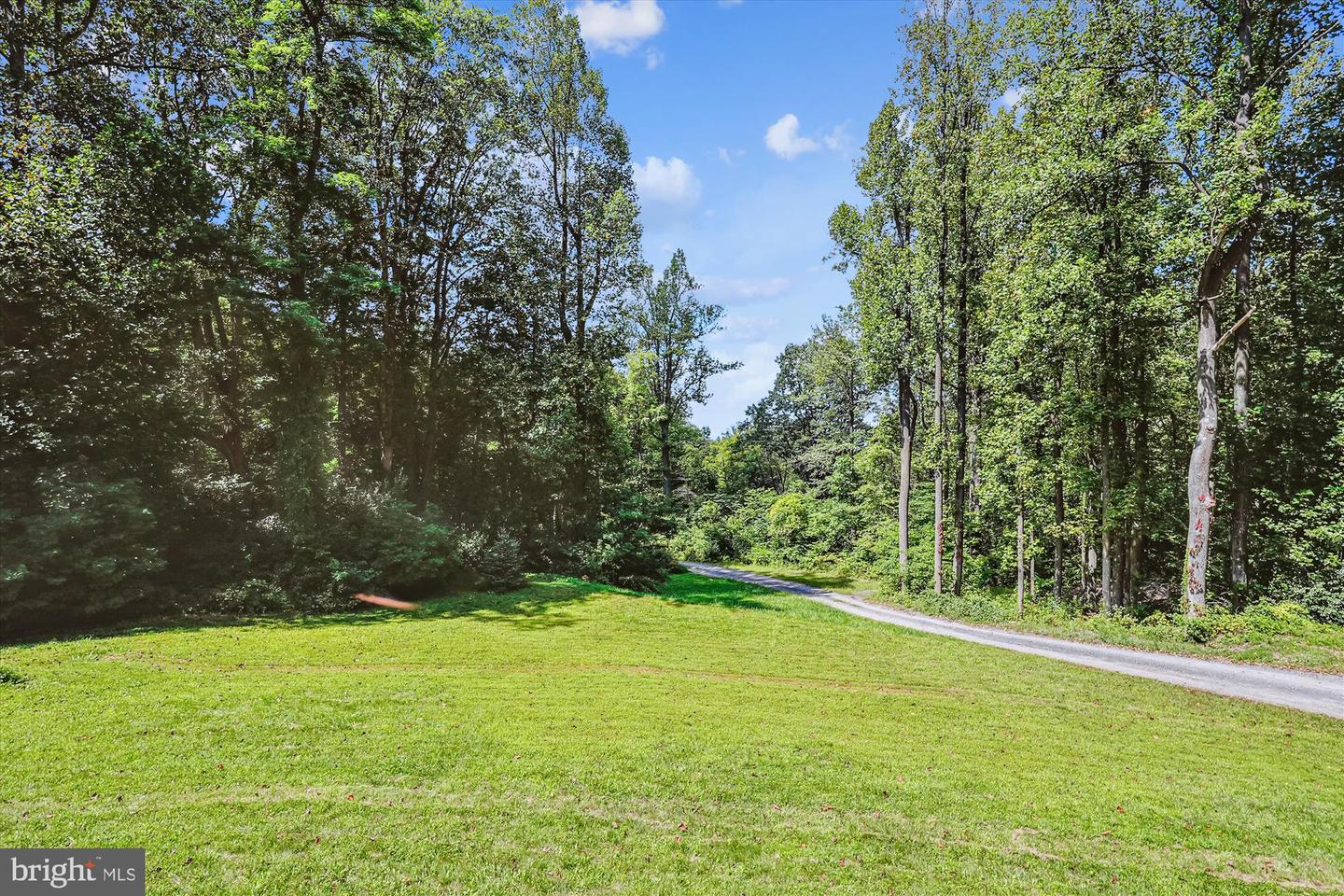 21826 BLUE RIDGE MTN RD, PARIS, Virginia 20130, 3 Bedrooms Bedrooms, ,2 BathroomsBathrooms,Residential,For sale,21826 BLUE RIDGE MTN RD,VACL2006026 MLS # VACL2006026