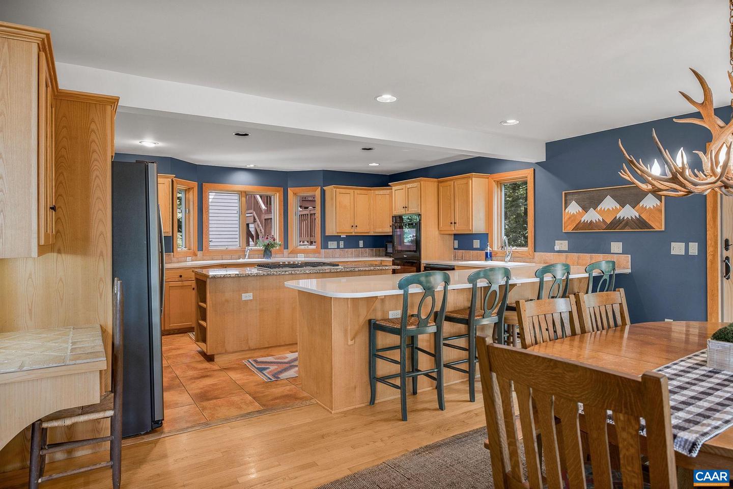 76 CRAB ORCHARD LN, WINTERGREEN RESORT, Virginia 22967, 5 Bedrooms Bedrooms, ,4 BathroomsBathrooms,Residential,For sale,76 CRAB ORCHARD LN,668599 MLS # 668599