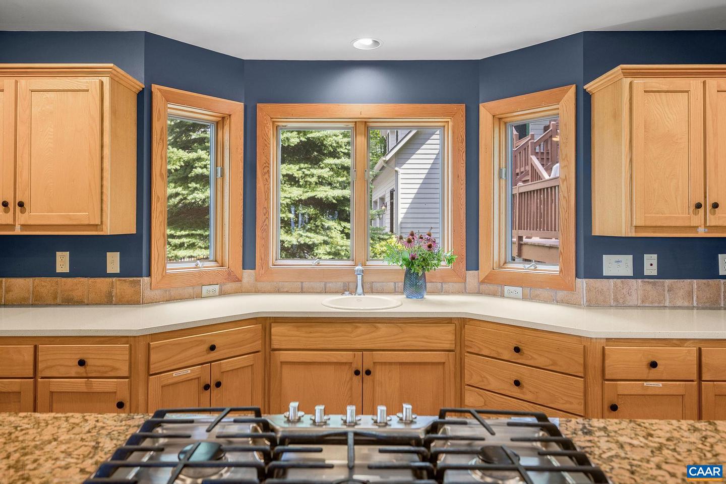 76 CRAB ORCHARD LN, WINTERGREEN RESORT, Virginia 22967, 5 Bedrooms Bedrooms, ,4 BathroomsBathrooms,Residential,For sale,76 CRAB ORCHARD LN,668599 MLS # 668599