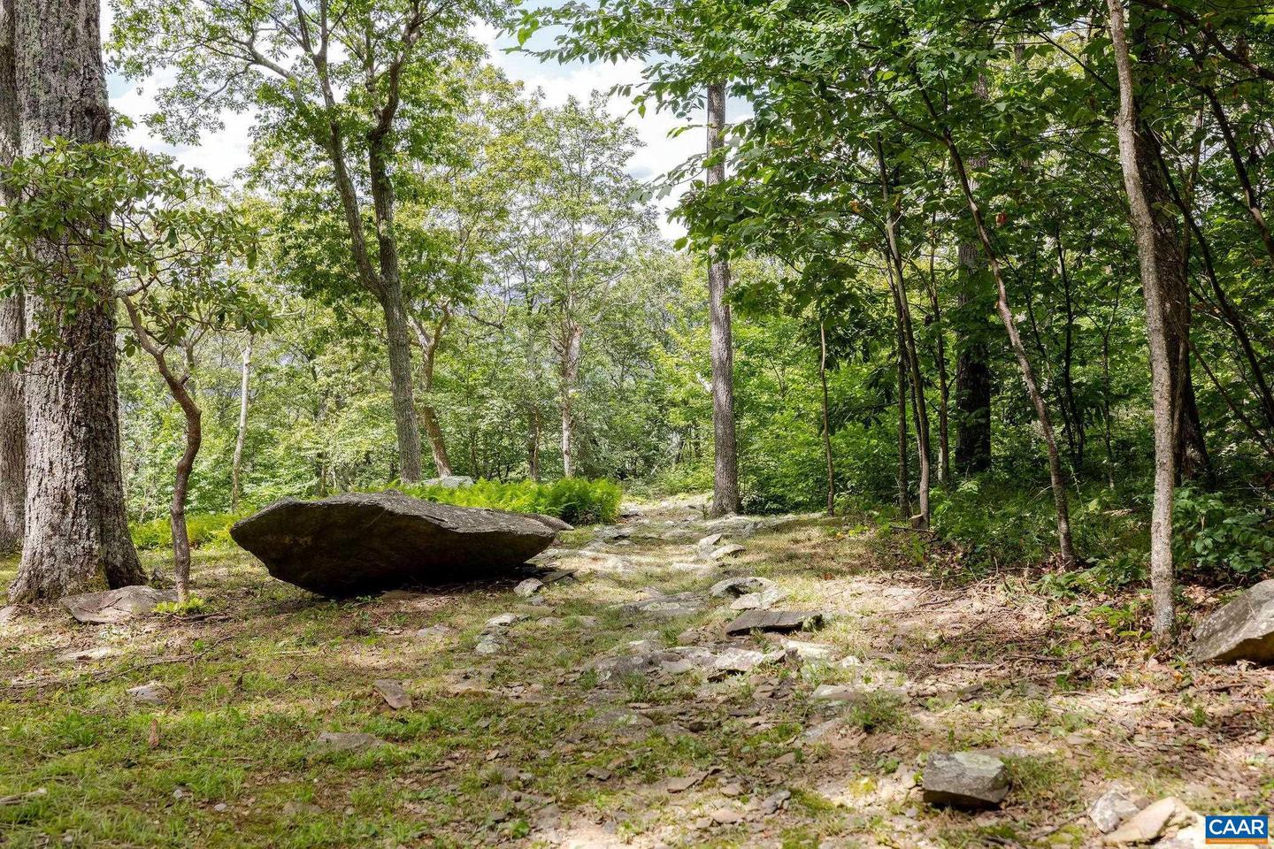 76 CRAB ORCHARD LN, WINTERGREEN RESORT, Virginia 22967, 5 Bedrooms Bedrooms, ,4 BathroomsBathrooms,Residential,For sale,76 CRAB ORCHARD LN,668599 MLS # 668599