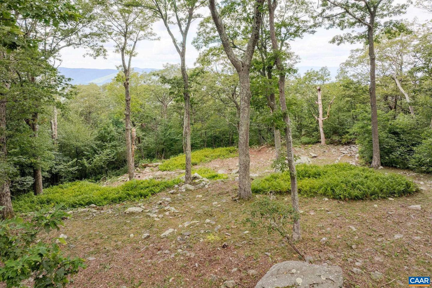 76 CRAB ORCHARD LN, WINTERGREEN RESORT, Virginia 22967, 5 Bedrooms Bedrooms, ,4 BathroomsBathrooms,Residential,For sale,76 CRAB ORCHARD LN,668599 MLS # 668599