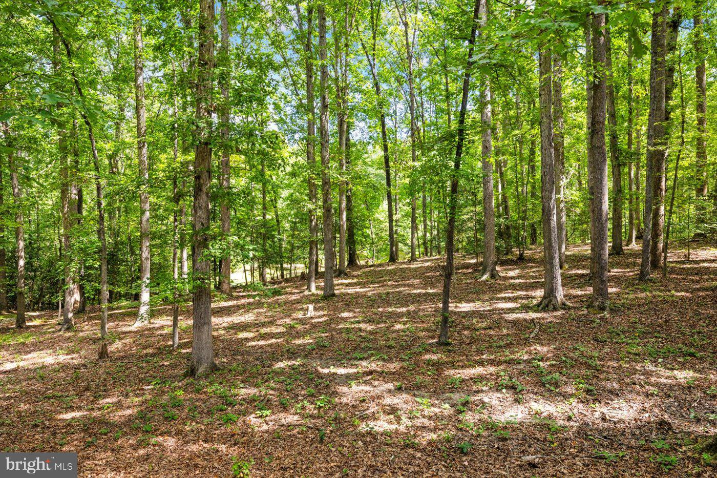 8100 BATTLE TRACE LN, SPOTSYLVANIA, Virginia 22553, 3 Bedrooms Bedrooms, ,4 BathroomsBathrooms,Residential,For sale,8100 BATTLE TRACE LN,VASP2036054 MLS # VASP2036054