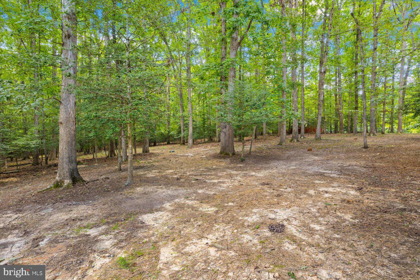 8100 BATTLE TRACE LN, SPOTSYLVANIA, Virginia 22553, 3 Bedrooms Bedrooms, ,4 BathroomsBathrooms,Residential,For sale,8100 BATTLE TRACE LN,VASP2036054 MLS # VASP2036054