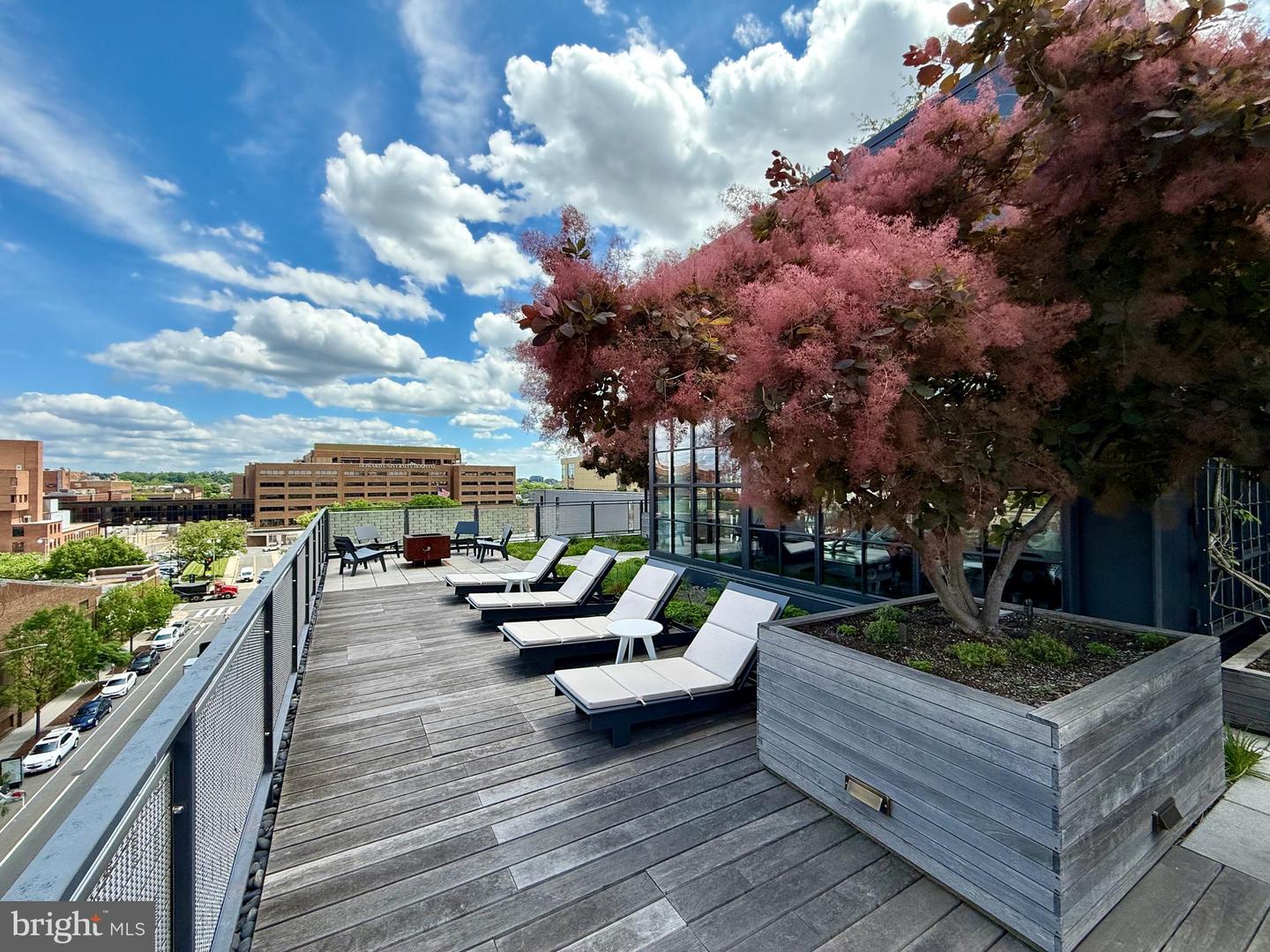 2030 8TH ST NW #513, WASHINGTON, District Of Columbia 20001, 1 Bedroom Bedrooms, ,1 BathroomBathrooms,Residential,For sale,2030 8TH ST NW #513,DCDC2220492 MLS # DCDC2220492