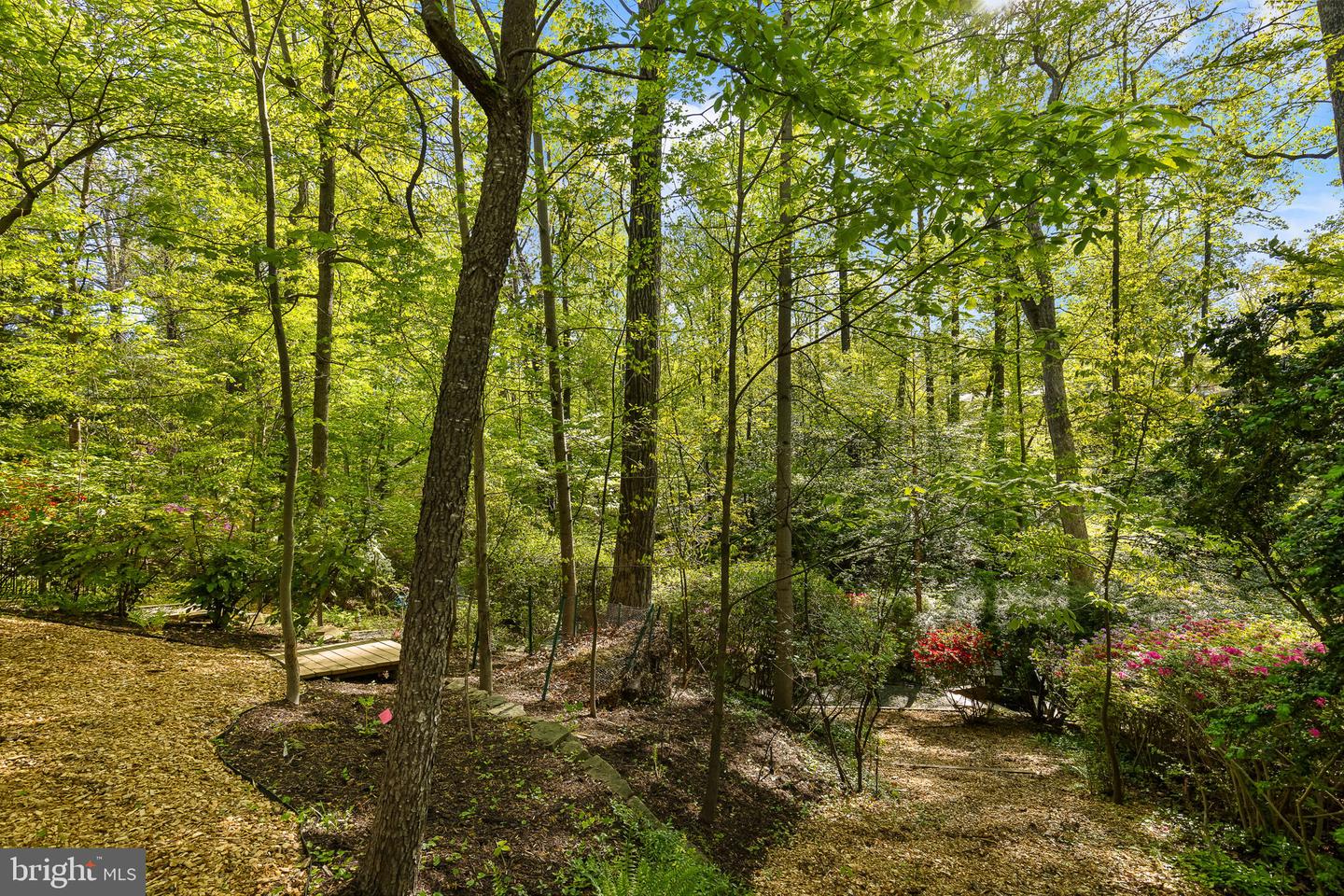 3440 MANSFIELD RD, FALLS CHURCH, Virginia 22041, 3 Bedrooms Bedrooms, ,3 BathroomsBathrooms,Residential,For sale,3440 MANSFIELD RD,VAFX2265346 MLS # VAFX2265346