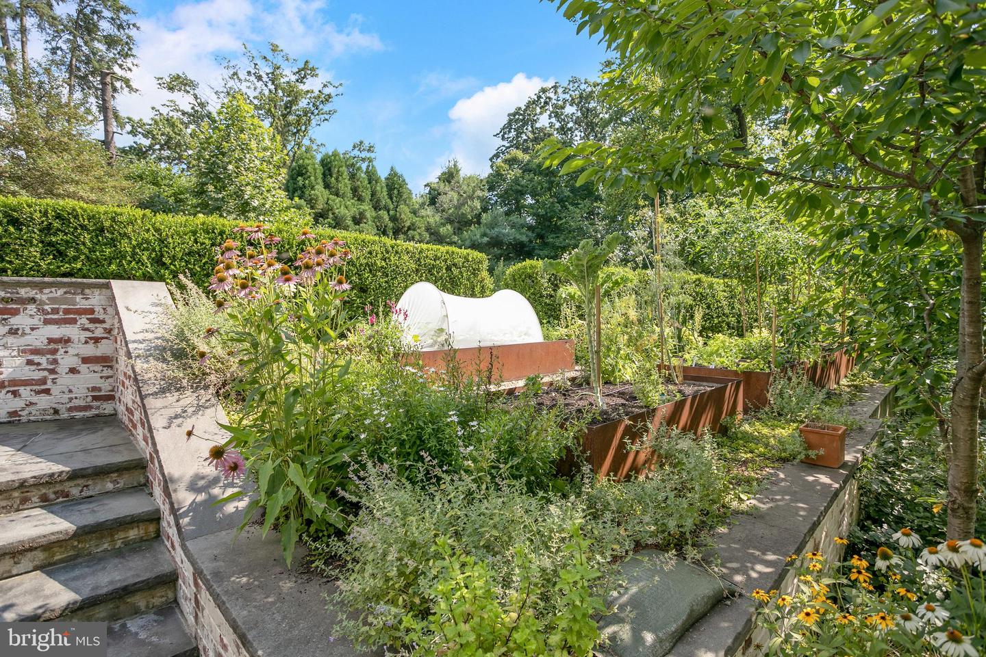 2824 CHAIN BRIDGE RD NW, WASHINGTON, District Of Columbia 20016, 5 Bedrooms Bedrooms, ,4 BathroomsBathrooms,Residential,For sale,2824 CHAIN BRIDGE RD NW,DCDC2220894 MLS # DCDC2220894