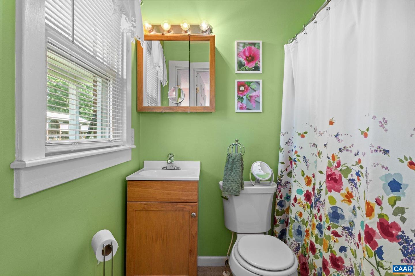 725 TRANSCO RD, SCOTTSVILLE, Virginia 24590, 5 Bedrooms Bedrooms, ,3 BathroomsBathrooms,Farm,For sale,725 TRANSCO RD,668734 MLS # 668734