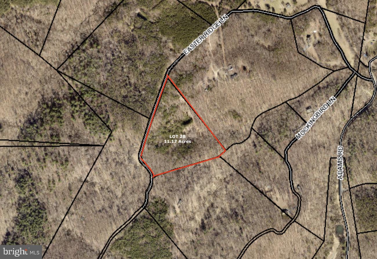 EASTER RIDGE LN #LOT 2B, CROSS JUNCTION, Virginia 22625, ,Land,For sale,EASTER RIDGE LN #LOT 2B,VAFV2035782 MLS # VAFV2035782