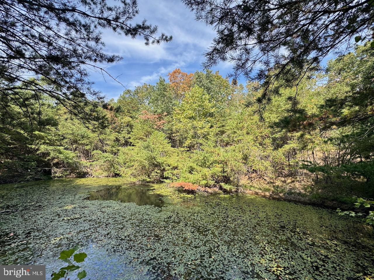 EASTER RIDGE LN #LOT 2B, CROSS JUNCTION, Virginia 22625, ,Land,For sale,EASTER RIDGE LN #LOT 2B,VAFV2035782 MLS # VAFV2035782