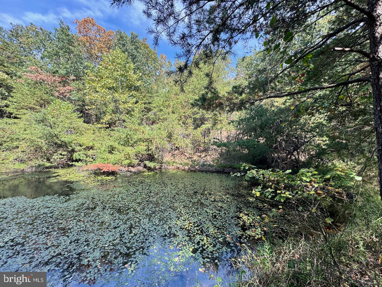 EASTER RIDGE LN #LOT 2B, CROSS JUNCTION, Virginia 22625, ,Land,For sale,EASTER RIDGE LN #LOT 2B,VAFV2035782 MLS # VAFV2035782
