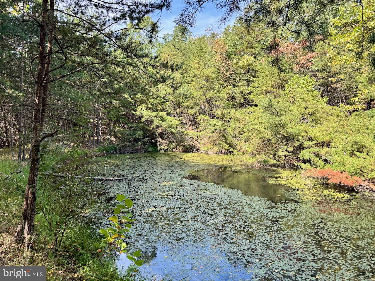 EASTER RIDGE LN #LOT 2B, CROSS JUNCTION, Virginia 22625, ,Land,For sale,EASTER RIDGE LN #LOT 2B,VAFV2035782 MLS # VAFV2035782