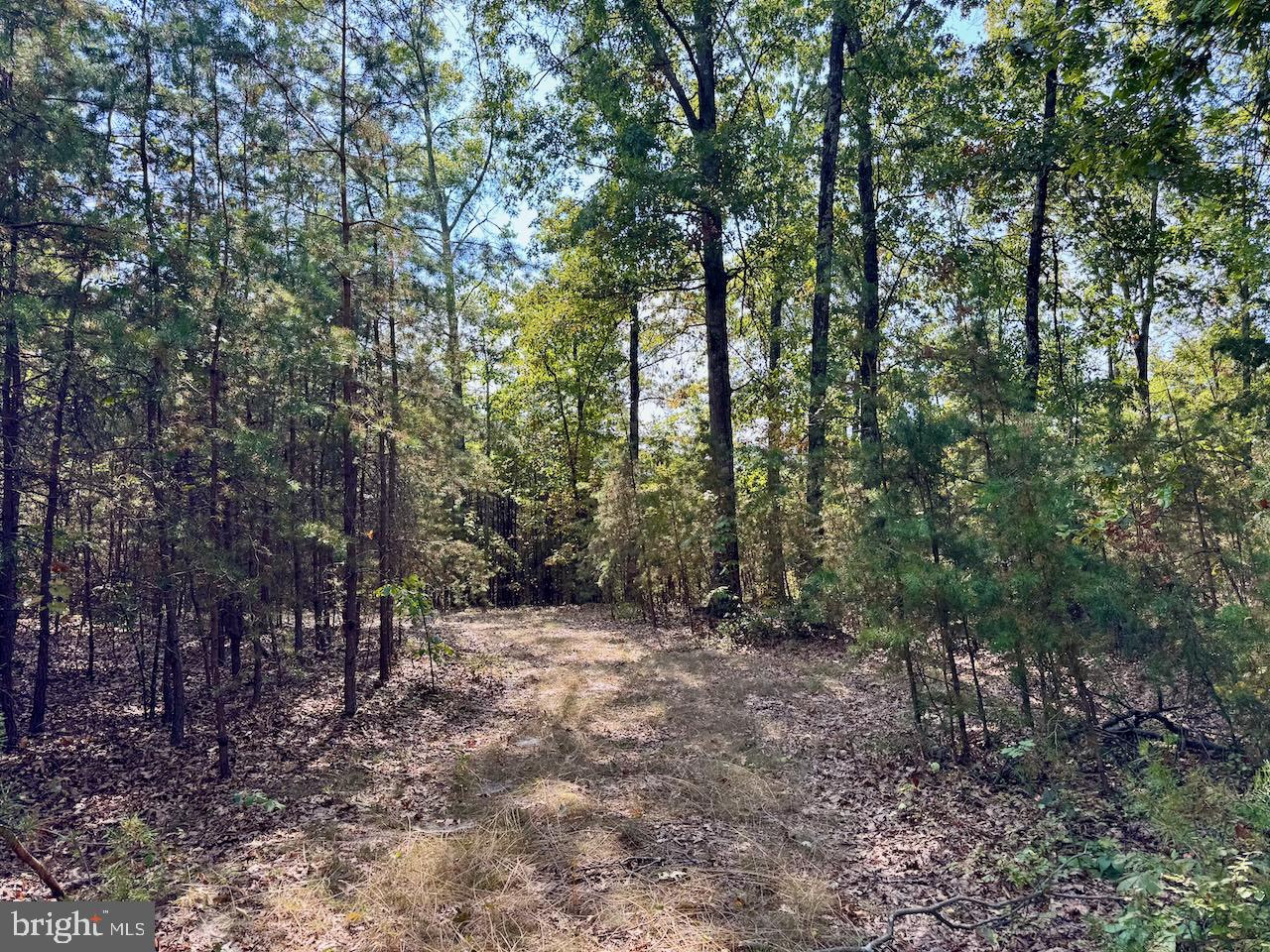 EASTER RIDGE LN #LOT 2B, CROSS JUNCTION, Virginia 22625, ,Land,For sale,EASTER RIDGE LN #LOT 2B,VAFV2035782 MLS # VAFV2035782