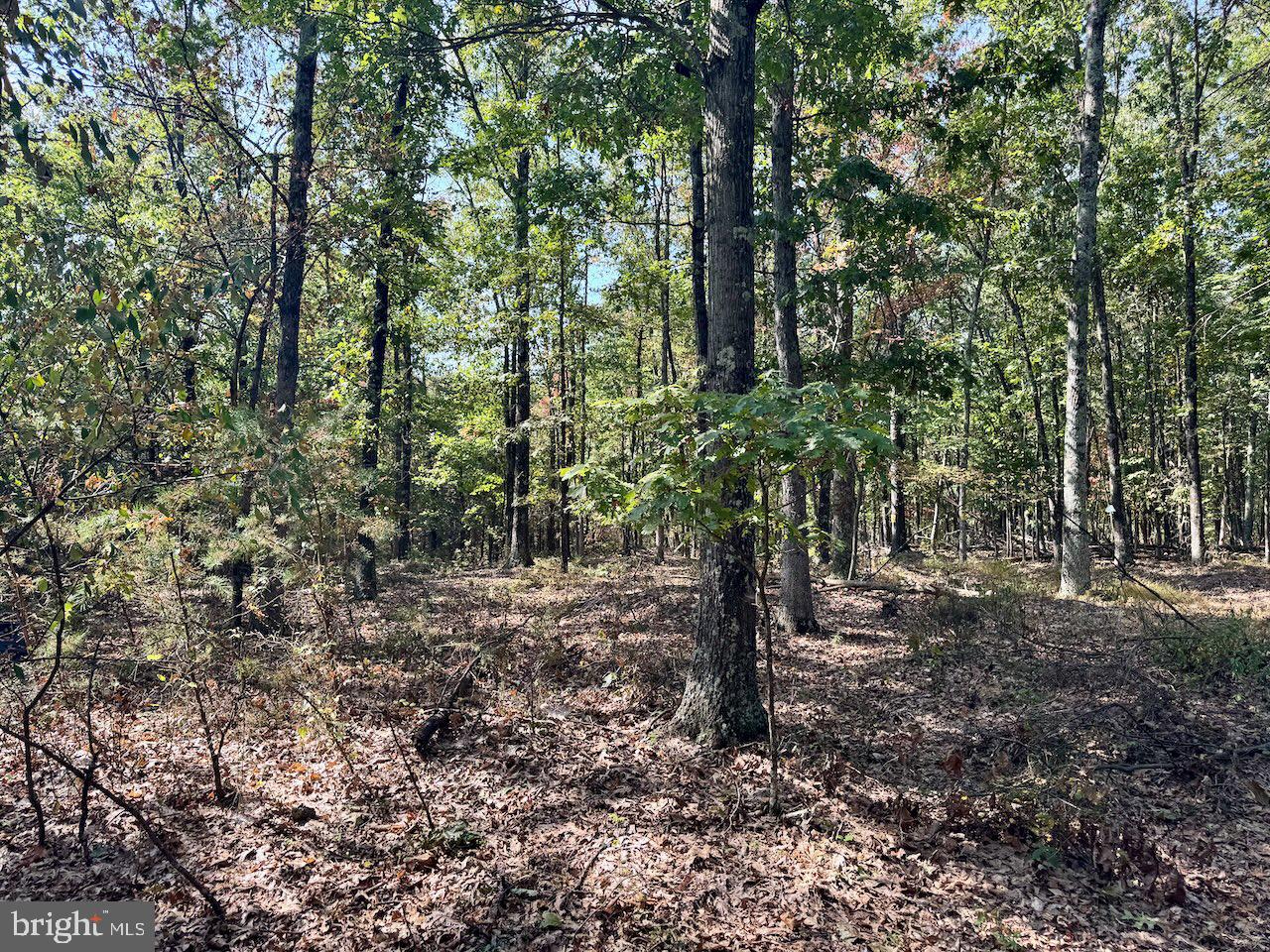 EASTER RIDGE LN #LOT 2B, CROSS JUNCTION, Virginia 22625, ,Land,For sale,EASTER RIDGE LN #LOT 2B,VAFV2035782 MLS # VAFV2035782
