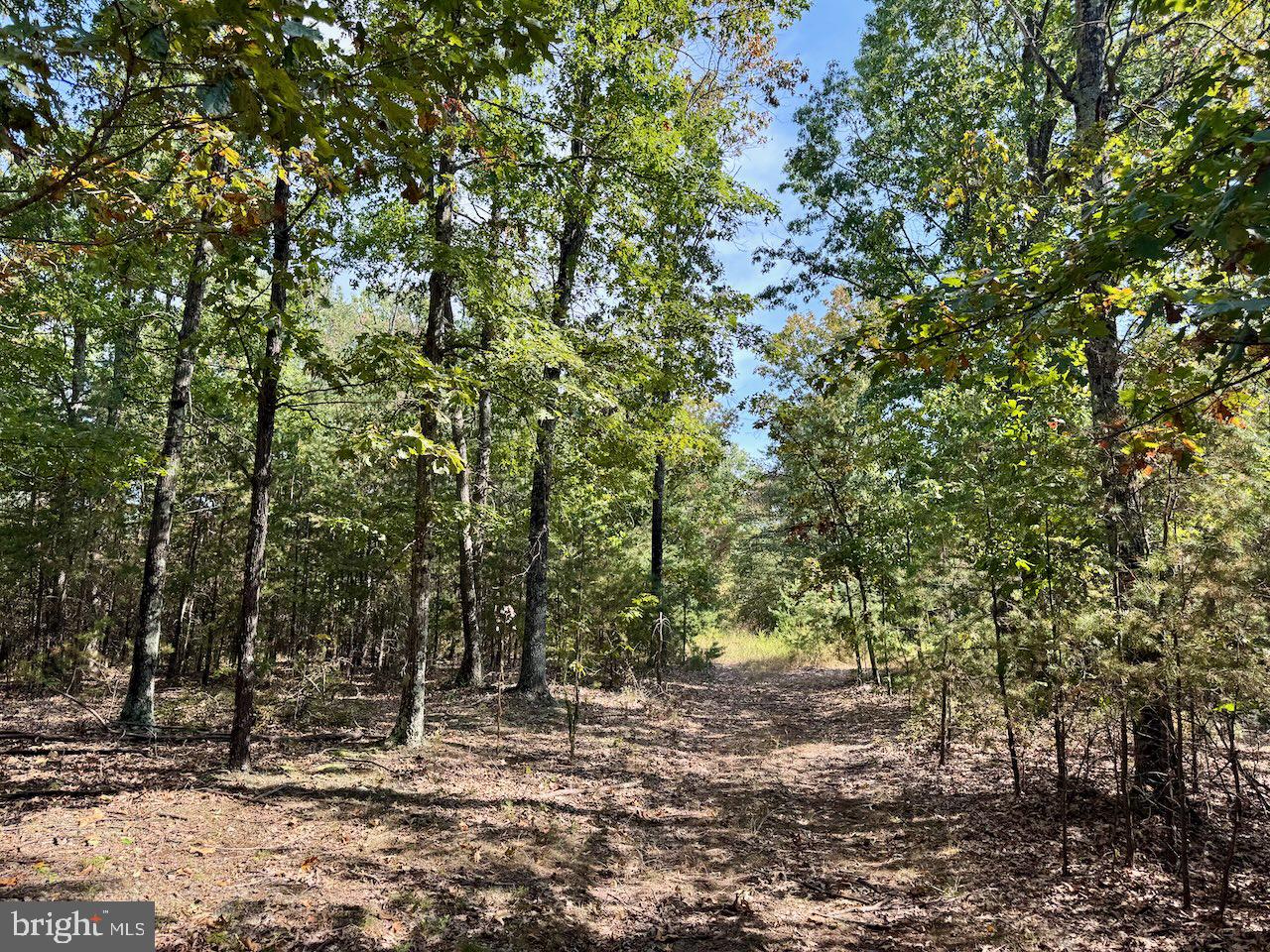 EASTER RIDGE LN #LOT 2B, CROSS JUNCTION, Virginia 22625, ,Land,For sale,EASTER RIDGE LN #LOT 2B,VAFV2035782 MLS # VAFV2035782