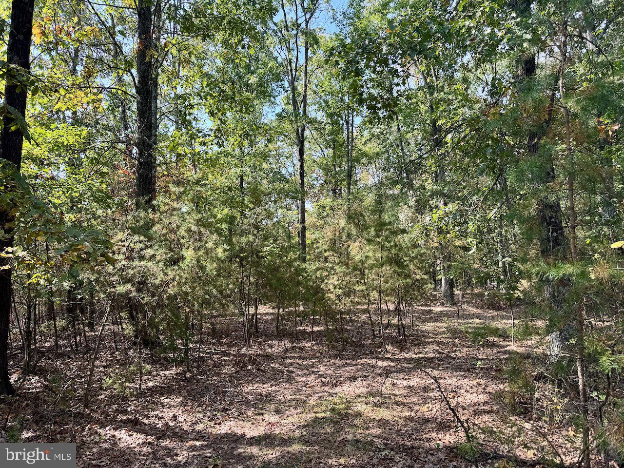 EASTER RIDGE LN #LOT 2B, CROSS JUNCTION, Virginia 22625, ,Land,For sale,EASTER RIDGE LN #LOT 2B,VAFV2035782 MLS # VAFV2035782