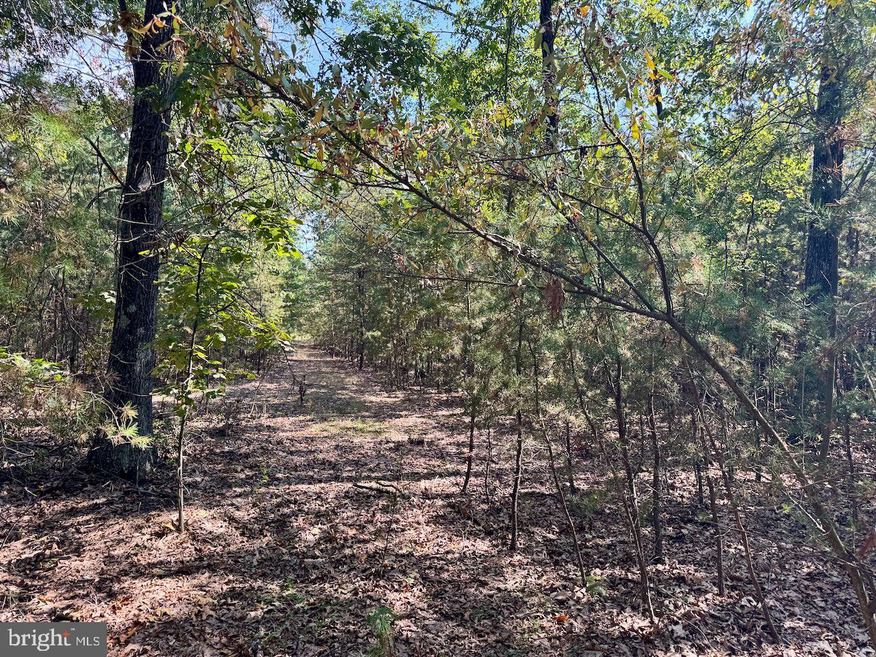 EASTER RIDGE LN #LOT 2B, CROSS JUNCTION, Virginia 22625, ,Land,For sale,EASTER RIDGE LN #LOT 2B,VAFV2035782 MLS # VAFV2035782