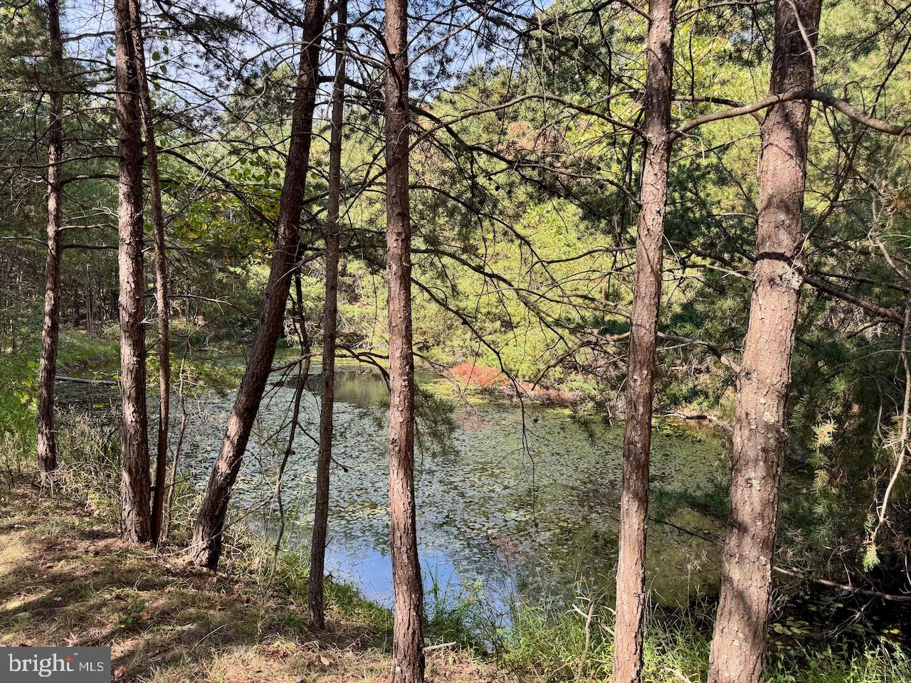 EASTER RIDGE LN #LOT 2B, CROSS JUNCTION, Virginia 22625, ,Land,For sale,EASTER RIDGE LN #LOT 2B,VAFV2035782 MLS # VAFV2035782