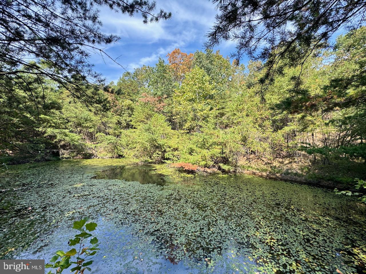 EASTER RIDGE LN #LOT 2B, CROSS JUNCTION, Virginia 22625, ,Land,For sale,EASTER RIDGE LN #LOT 2B,VAFV2035782 MLS # VAFV2035782