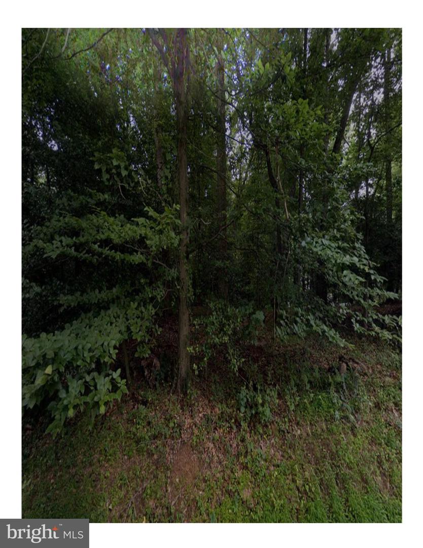 9113 JEFFERY RD, GREAT FALLS, Virginia 22066, ,Land,For sale,9113 JEFFERY RD,VAFX2265416 MLS # VAFX2265416