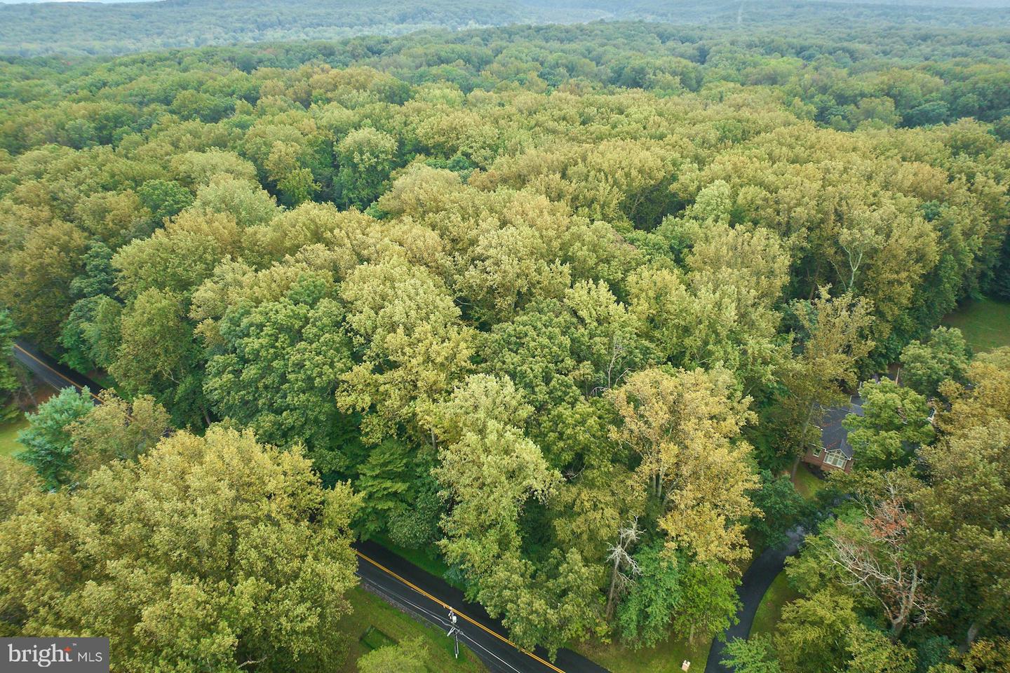9113 JEFFERY RD, GREAT FALLS, Virginia 22066, ,Land,For sale,9113 JEFFERY RD,VAFX2265416 MLS # VAFX2265416