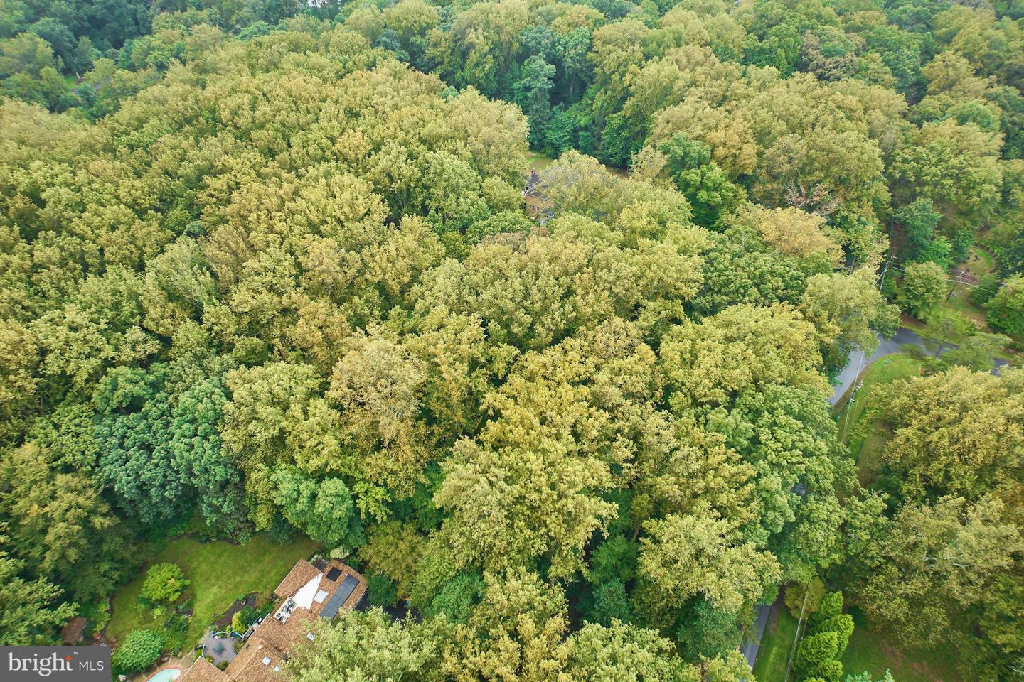 9113 JEFFERY RD, GREAT FALLS, Virginia 22066, ,Land,For sale,9113 JEFFERY RD,VAFX2265416 MLS # VAFX2265416