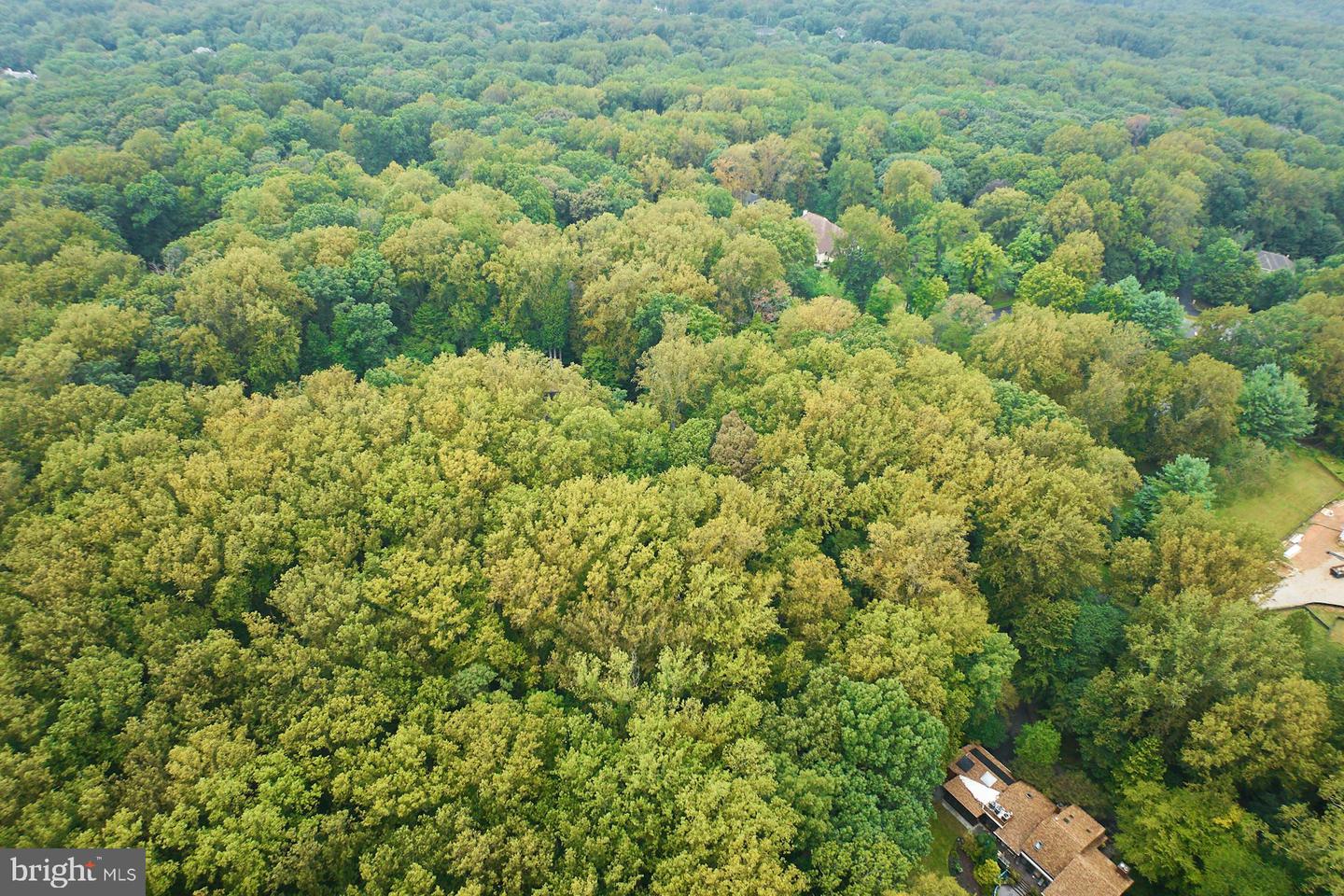 9113 JEFFERY RD, GREAT FALLS, Virginia 22066, ,Land,For sale,9113 JEFFERY RD,VAFX2265416 MLS # VAFX2265416