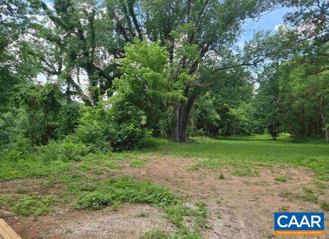 0000 JAMES RIVER RD, WINGINA, Virginia 24599, ,Land,For sale,0000 JAMES RIVER RD,668767 MLS # 668767