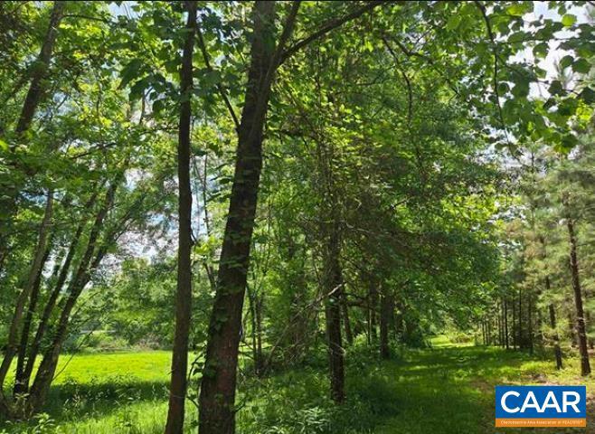 0000 JAMES RIVER RD, WINGINA, Virginia 24599, ,Land,For sale,0000 JAMES RIVER RD,668767 MLS # 668767