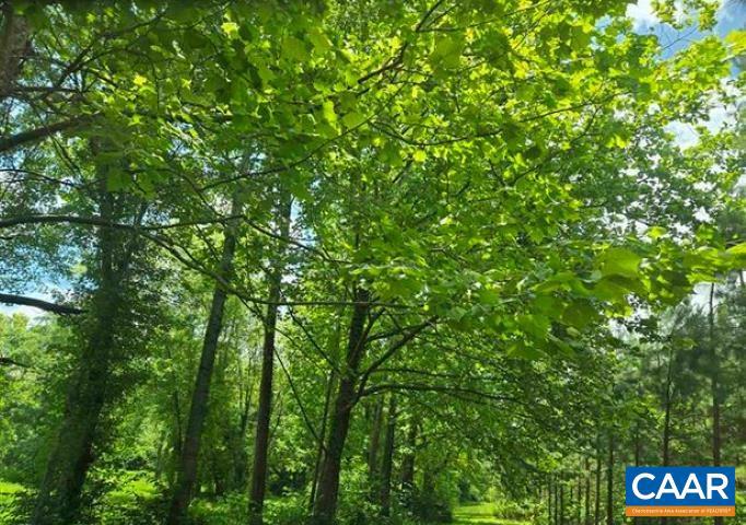0000 JAMES RIVER RD, WINGINA, Virginia 24599, ,Land,For sale,0000 JAMES RIVER RD,668767 MLS # 668767