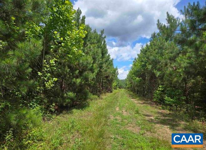 0000 JAMES RIVER RD, WINGINA, Virginia 24599, ,Land,For sale,0000 JAMES RIVER RD,668767 MLS # 668767