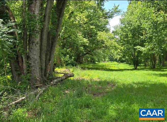 0000 JAMES RIVER RD, WINGINA, Virginia 24599, ,Land,For sale,0000 JAMES RIVER RD,668767 MLS # 668767