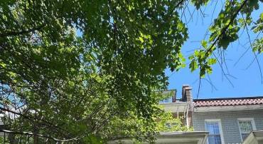 749 PRINCETON PL NW, WASHINGTON, District Of Columbia 20010, 4 Bedrooms Bedrooms, ,3 BathroomsBathrooms,Residential,For sale,749 PRINCETON PL NW,DCDC2210208 MLS # DCDC2210208