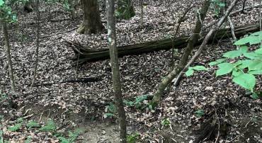 LOT 27 SALEM CHURCH RD, KING GEORGE, Virginia 22485, ,Land,For sale,LOT 27 SALEM CHURCH RD,VAKG2006980 MLS # VAKG2006980