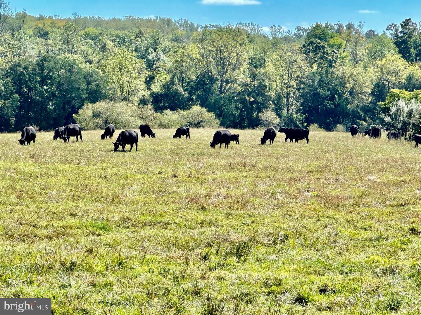 7038 BEACONSFIELD LN, WARRENTON, Virginia 20187, 2 Bedrooms Bedrooms, ,3 BathroomsBathrooms,Residential,For sale,7038 BEACONSFIELD LN,VAFQ2018078 MLS # VAFQ2018078 7038 BEACONSFIELD LN, WARRENTON, Virginia 20187, 2 Bedrooms Bedrooms, ,3 BathroomsBathrooms,Residential,For sale,7038 BEACONSFIELD LN,VAFQ2018078 MLS # VAFQ2018078