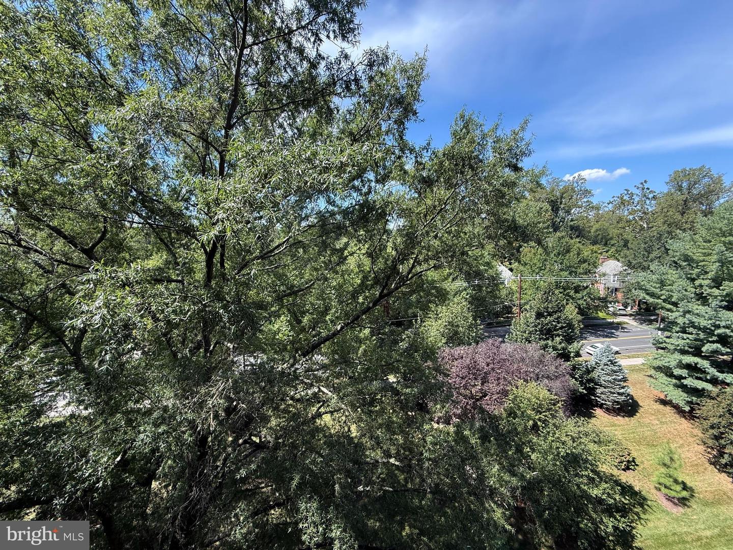 4201 CATHEDRAL AVE NW #913W, WASHINGTON, District Of Columbia 20016, 1 Bedroom Bedrooms, ,1 BathroomBathrooms,Residential,For sale,4201 CATHEDRAL AVE NW #913W,DCDC2217562 MLS # DCDC2217562 4201 CATHEDRAL AVE NW #913W, WASHINGTON, District Of Columbia 20016, 1 Bedroom Bedrooms, ,1 BathroomBathrooms,Residential,For sale,4201 CATHEDRAL AVE NW #913W,DCDC2217562 MLS # DCDC2217562