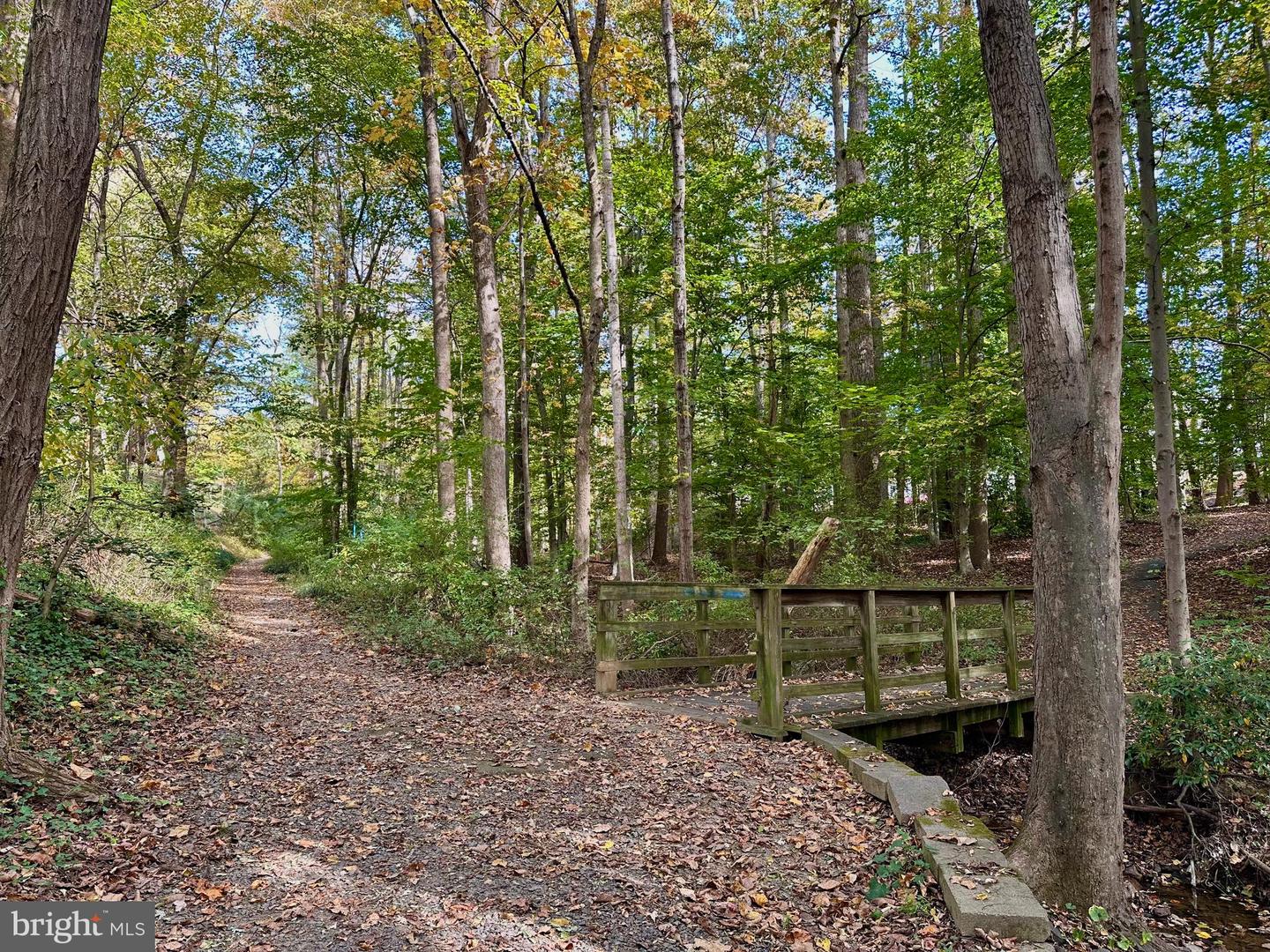 7204 MING TREE CT, SPRINGFIELD, Virginia 22152, 4 Bedrooms Bedrooms, ,3 BathroomsBathrooms,Residential,For sale,7204 MING TREE CT,VAFX2264588 MLS # VAFX2264588