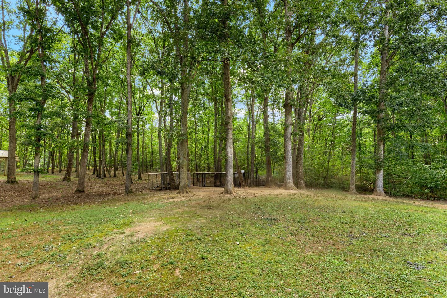 7220 DOROTHY LN, SPOTSYLVANIA, Virginia 22551, 4 Bedrooms Bedrooms, ,3 BathroomsBathrooms,Residential,For sale,7220 DOROTHY LN,VASP2035990 MLS # VASP2035990