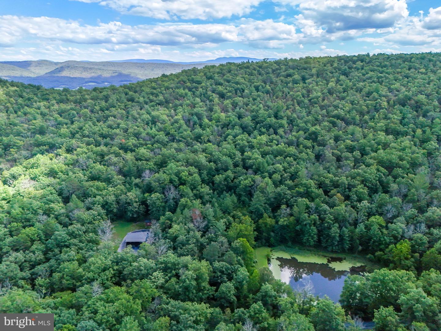 1234 MINE MOUNTAIN LN, FORT VALLEY, Virginia 22652, 3 Bedrooms Bedrooms, ,2 BathroomsBathrooms,Residential,For sale,1234 MINE MOUNTAIN LN,VASH2012424 MLS # VASH2012424