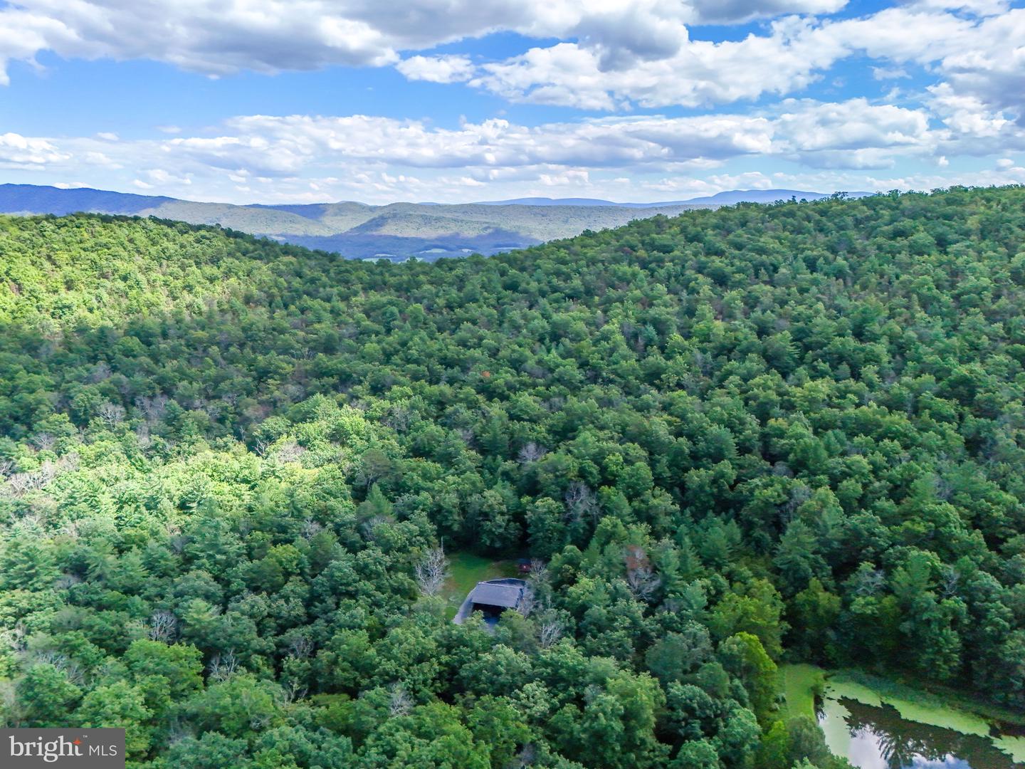 1234 MINE MOUNTAIN LN, FORT VALLEY, Virginia 22652, 3 Bedrooms Bedrooms, ,2 BathroomsBathrooms,Residential,For sale,1234 MINE MOUNTAIN LN,VASH2012424 MLS # VASH2012424