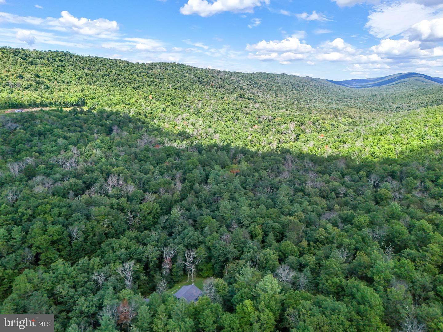 1234 MINE MOUNTAIN LN, FORT VALLEY, Virginia 22652, 3 Bedrooms Bedrooms, ,2 BathroomsBathrooms,Residential,For sale,1234 MINE MOUNTAIN LN,VASH2012424 MLS # VASH2012424