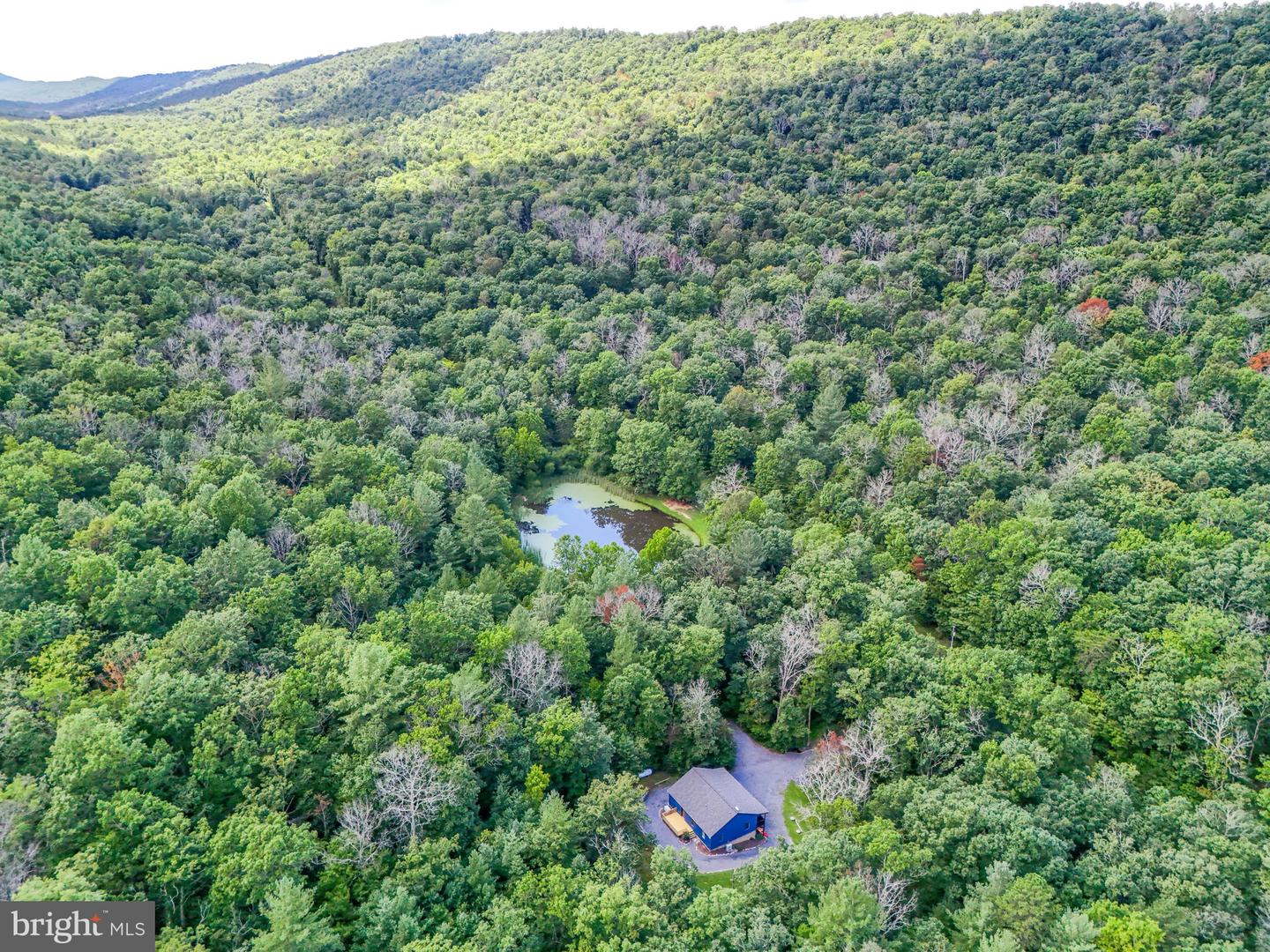 1234 MINE MOUNTAIN LN, FORT VALLEY, Virginia 22652, 3 Bedrooms Bedrooms, ,2 BathroomsBathrooms,Residential,For sale,1234 MINE MOUNTAIN LN,VASH2012424 MLS # VASH2012424