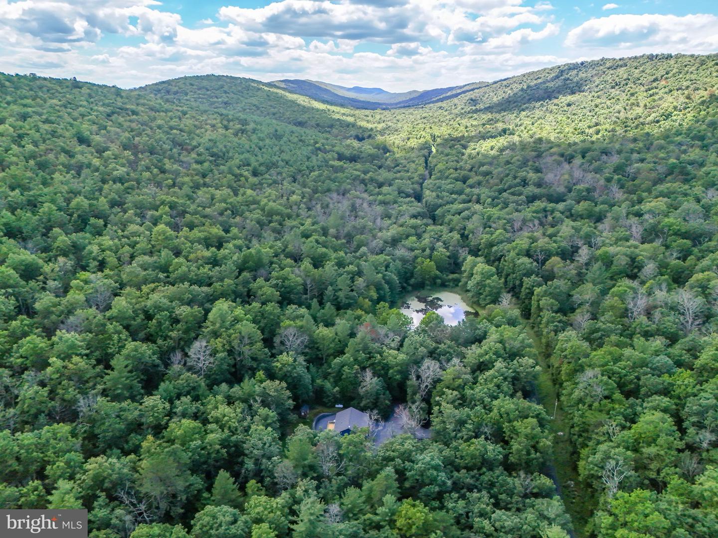 1234 MINE MOUNTAIN LN, FORT VALLEY, Virginia 22652, 3 Bedrooms Bedrooms, ,2 BathroomsBathrooms,Residential,For sale,1234 MINE MOUNTAIN LN,VASH2012424 MLS # VASH2012424