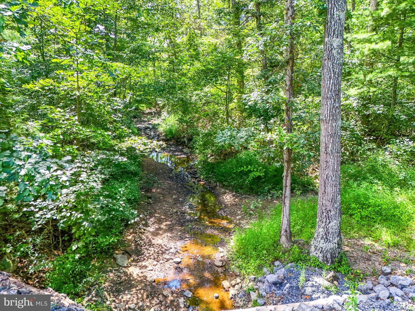 1234 MINE MOUNTAIN LN, FORT VALLEY, Virginia 22652, 3 Bedrooms Bedrooms, ,2 BathroomsBathrooms,Residential,For sale,1234 MINE MOUNTAIN LN,VASH2012424 MLS # VASH2012424